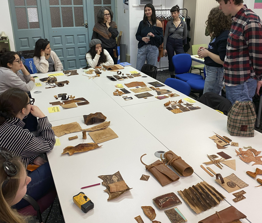 Resumen movilidad física BIP