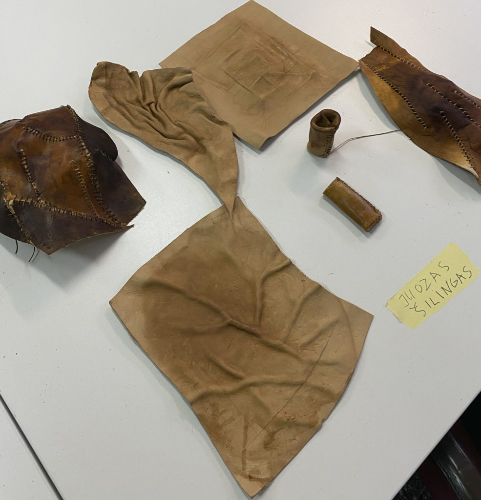 Resumen movilidad física BIP