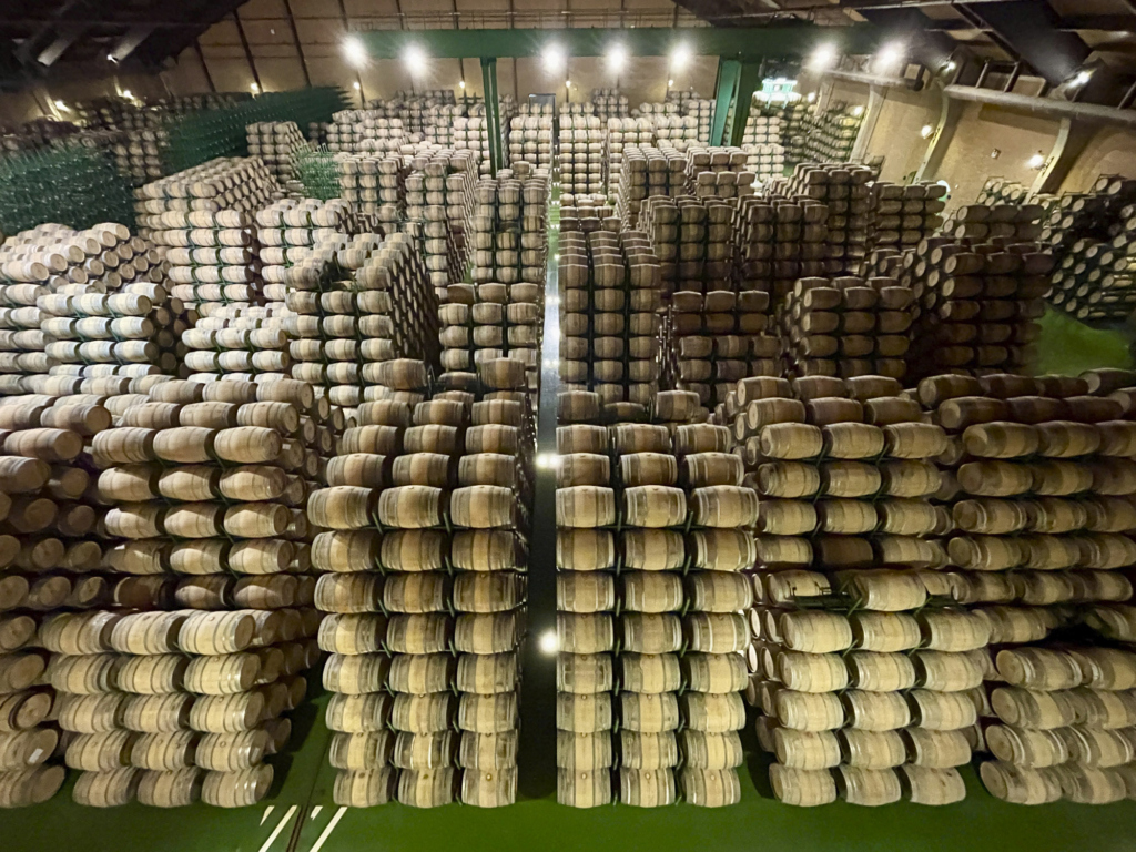 Visita del Máster de Packaging a Bodegas LAN