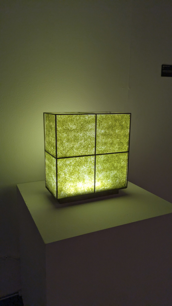 Viaje a Madrid con 1º y 2º de Interiores