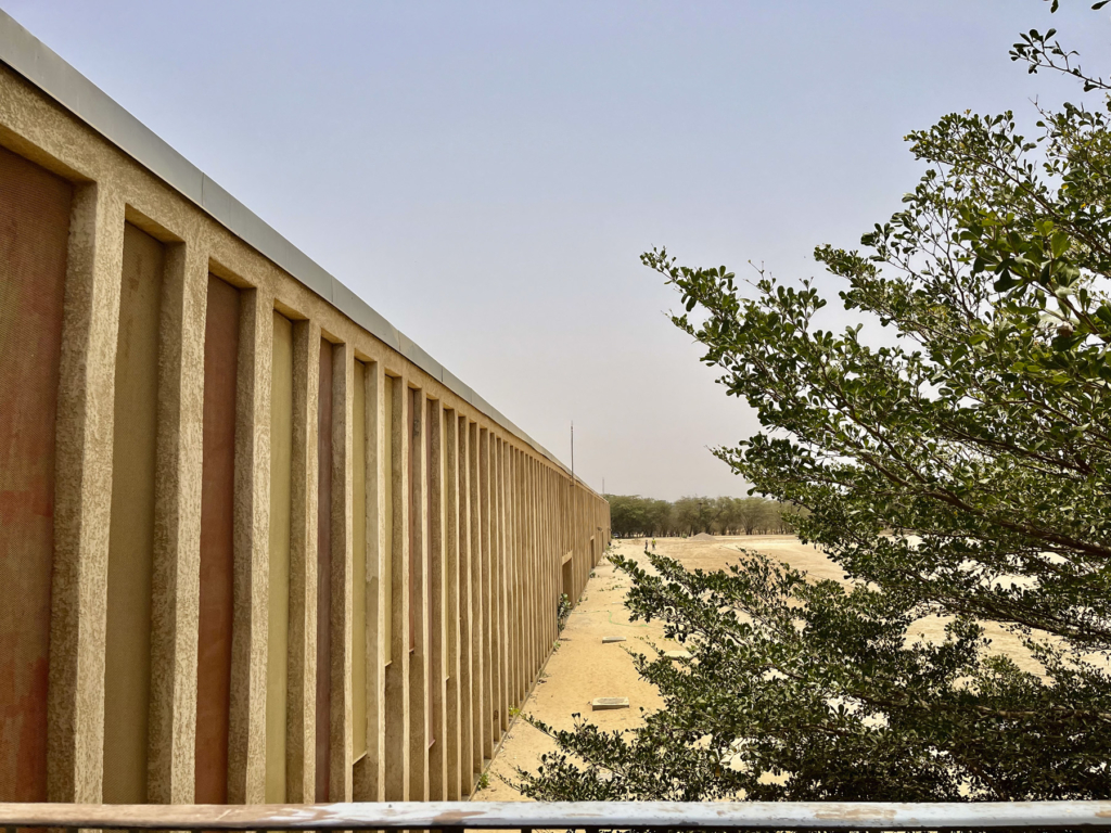 La Esdir en la Université Gaston Berger de Senegal
