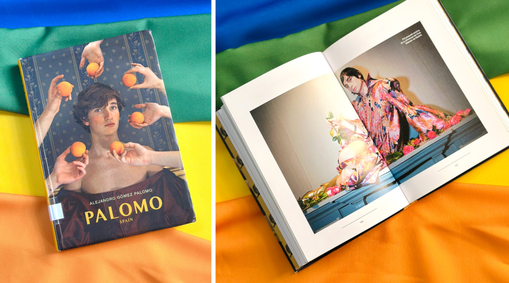 Recomendaciones Bibliográficas_ Orgullo 2025