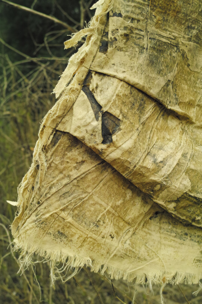 Sara Gonzalez Moraga ganadora del Greenwalk Awards