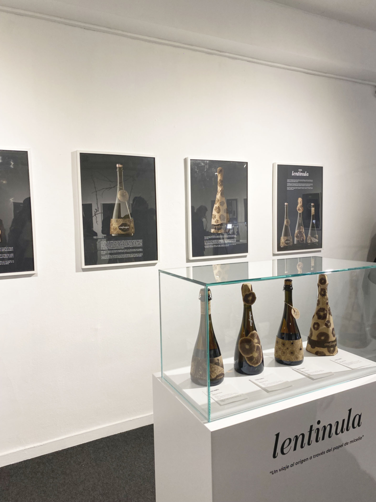 Exposición "Enofungus" de Laura Ramos en Sala Pequeña