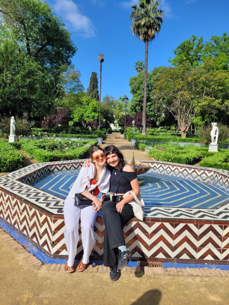 Erasmus Experiences IN 2024-25