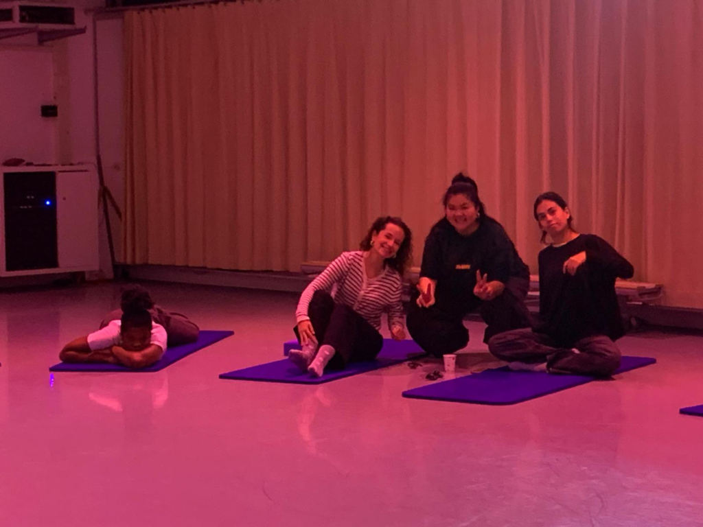 La Esdir en el BIP Resilience in Diversity