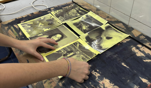 Taller de Cianotipia con 2º de Producto