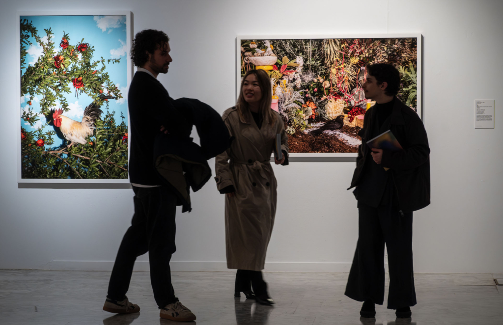 Entrega de galardones y XLI Muestra de Arte Joven en la Esdir