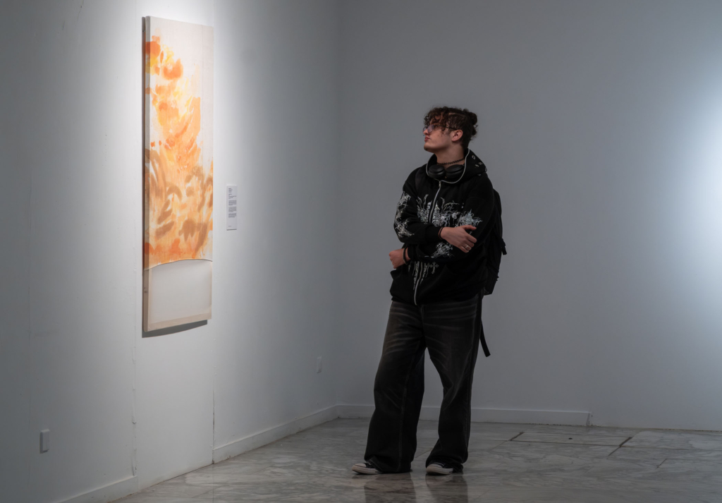 Entrega de galardones y XLI Muestra de Arte Joven en la Esdir