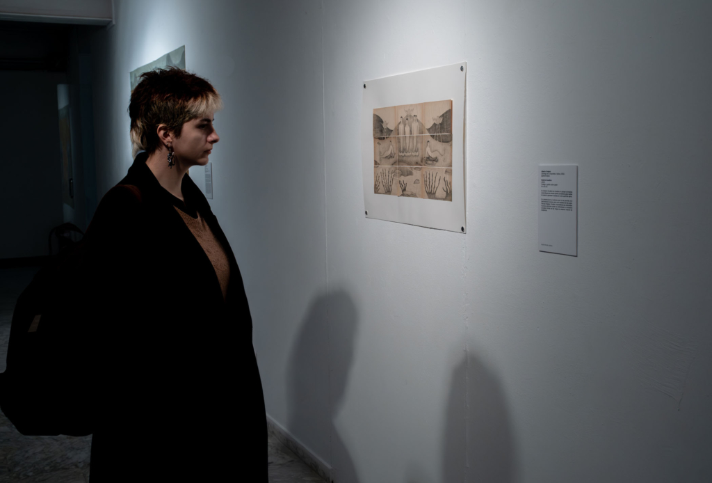 Entrega de galardones y XLI Muestra de Arte Joven en la Esdir