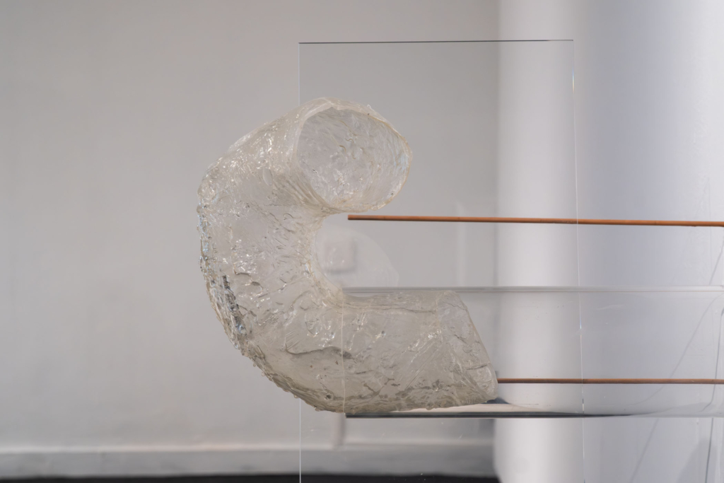 Inauguración de la exposición "Beber teja dota de cuerpo a la cal" de Álvaro Morón