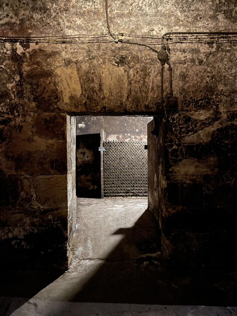 El Máster de Packaging visita Bodegas CVNE