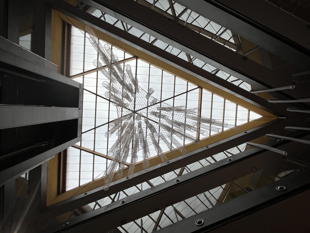 La ESDIR en el Actual 2026