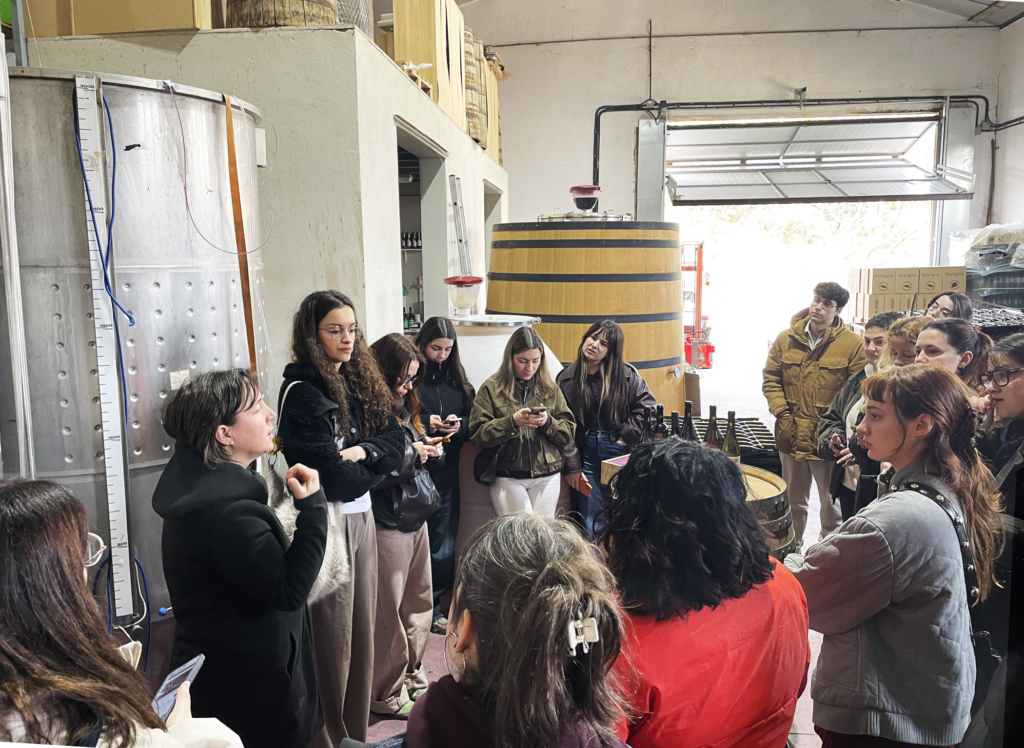 El Máster de Packaging en El Mozo Wines y Koba