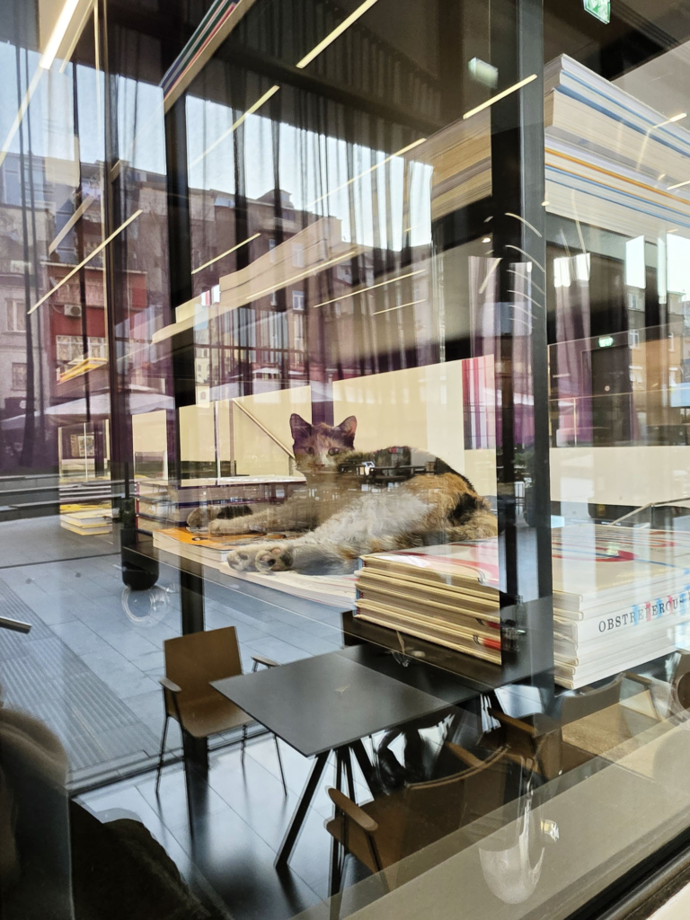 Taller "The dress as a second skin" en la Istambul Bilgi University