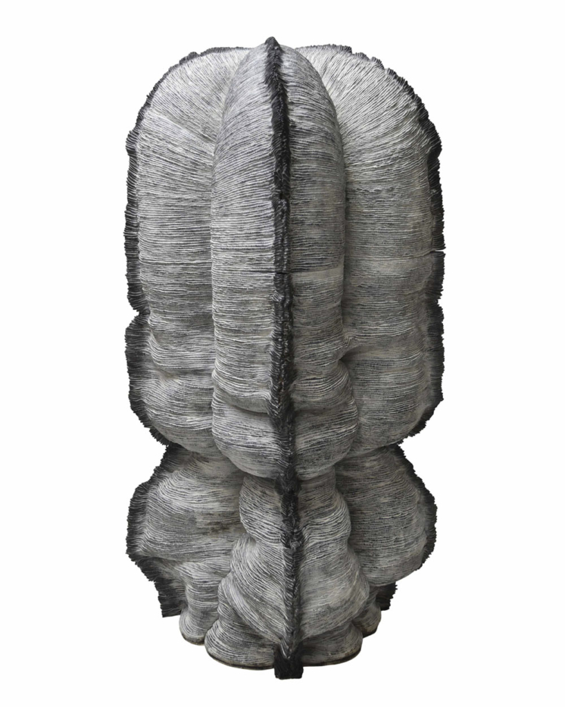 Asignaturas Optativas