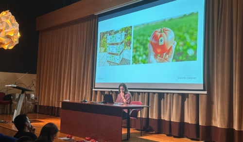 Primer proyecto de Packaging: caja hortofrutícola y etiquetado para tomates Rioja Selecto